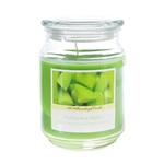 Mega Candles - 18 oz. Country Dreams Scented Jar Candle - Honeydew Melon