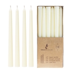 Mega Craft - 12 pcs 10" Unscented Taper Candle in Brown Box - Ivory