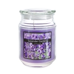 18 oz. Country Dreams Scented Jar Candle - Lavender Garden