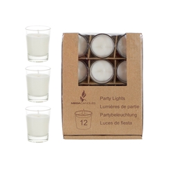 Mega Candles -12 pcs Unscented Mini Glass Container Candle in Box - White